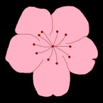 91香蕉视频APP最新版